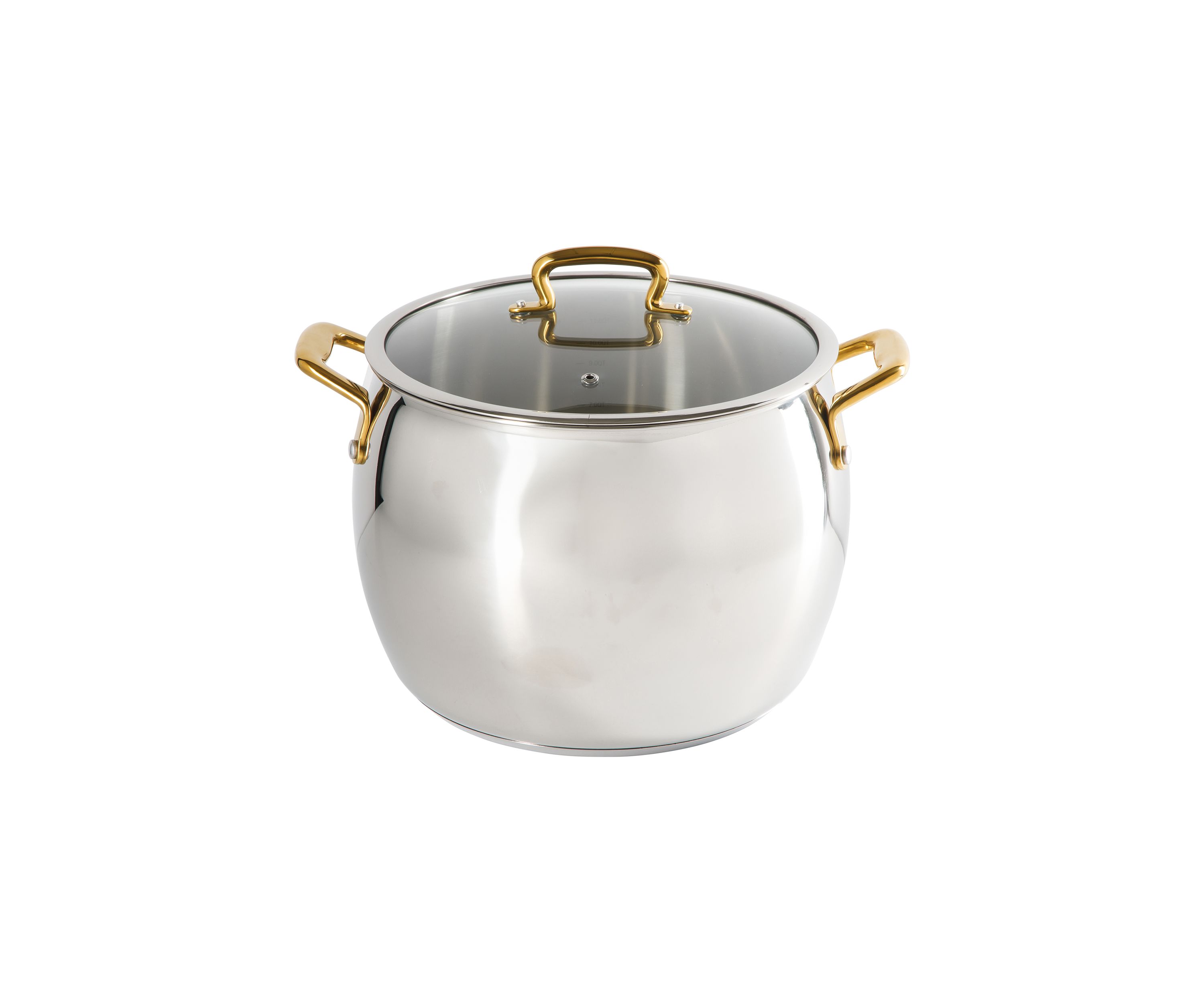 12 Quart Stainless Steel Stock Pot with Lid
