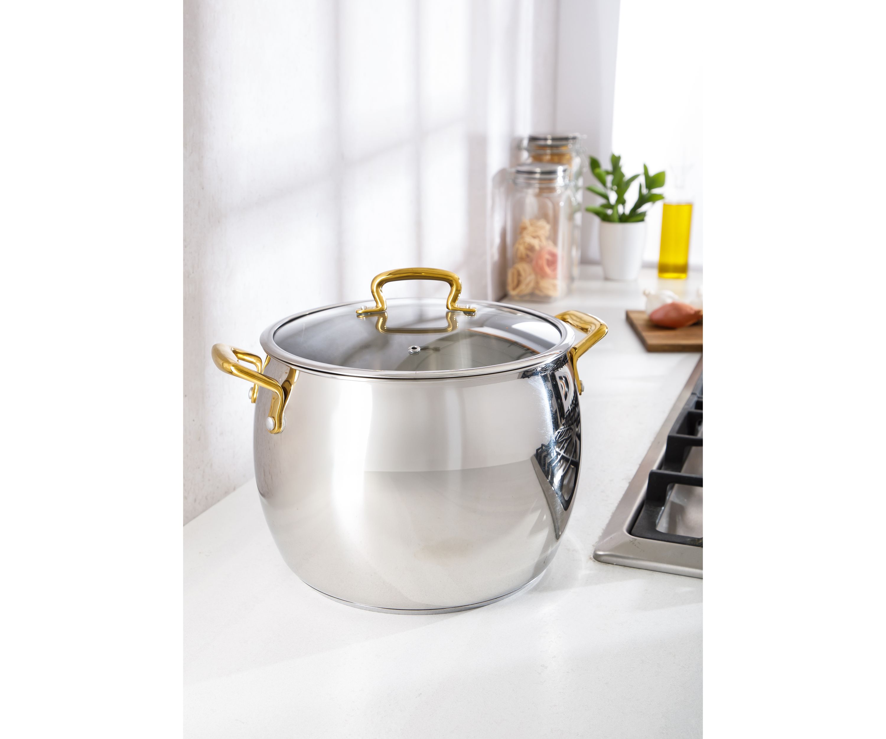 12 Quart Stainless Steel Stock Pot with Lid