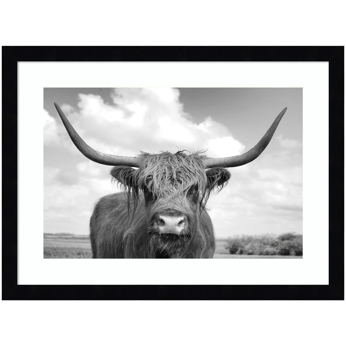 Highland Cow On the Ranch Framed Wall Art Print