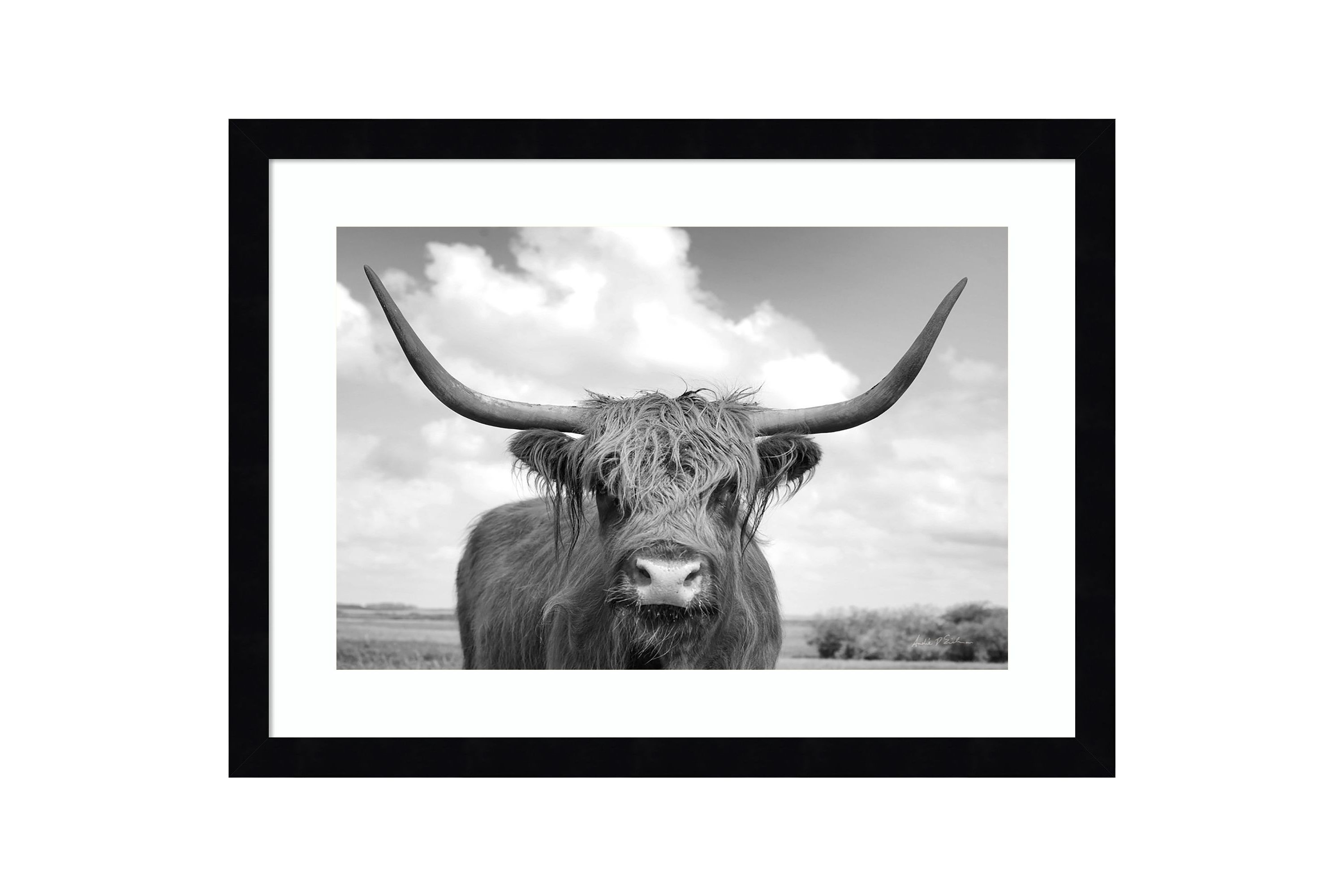 Highland Cow On the Ranch Framed Wall Art Print