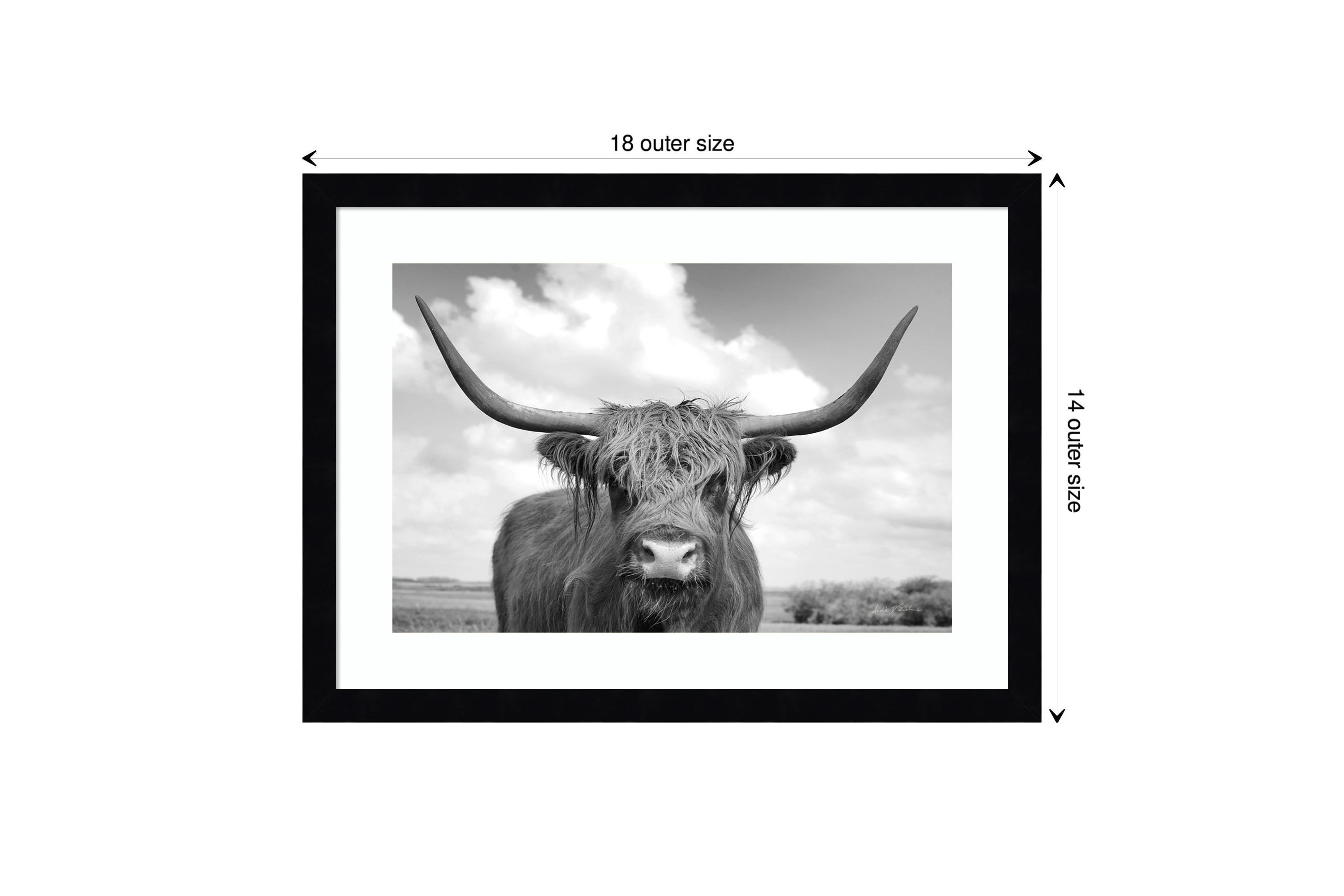 Highland Cow On the Ranch Framed Wall Art Print