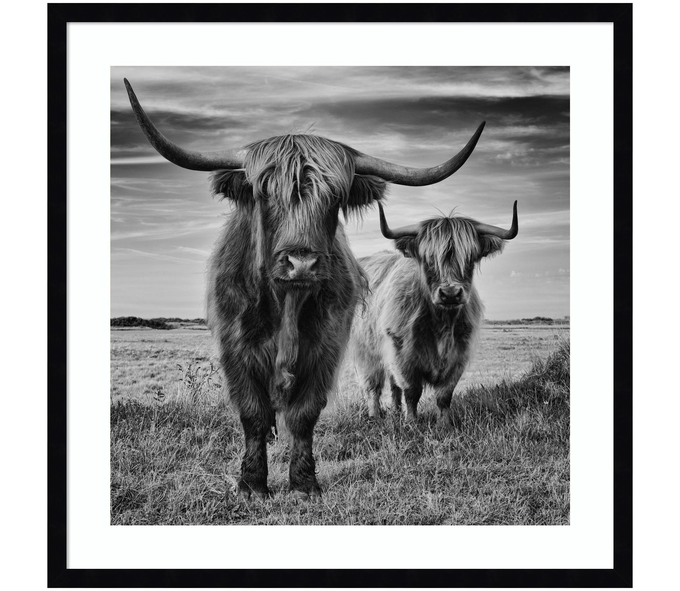 Highland Cow Couple by Stephane Pecqueux Wood Framed Wall Art Print
