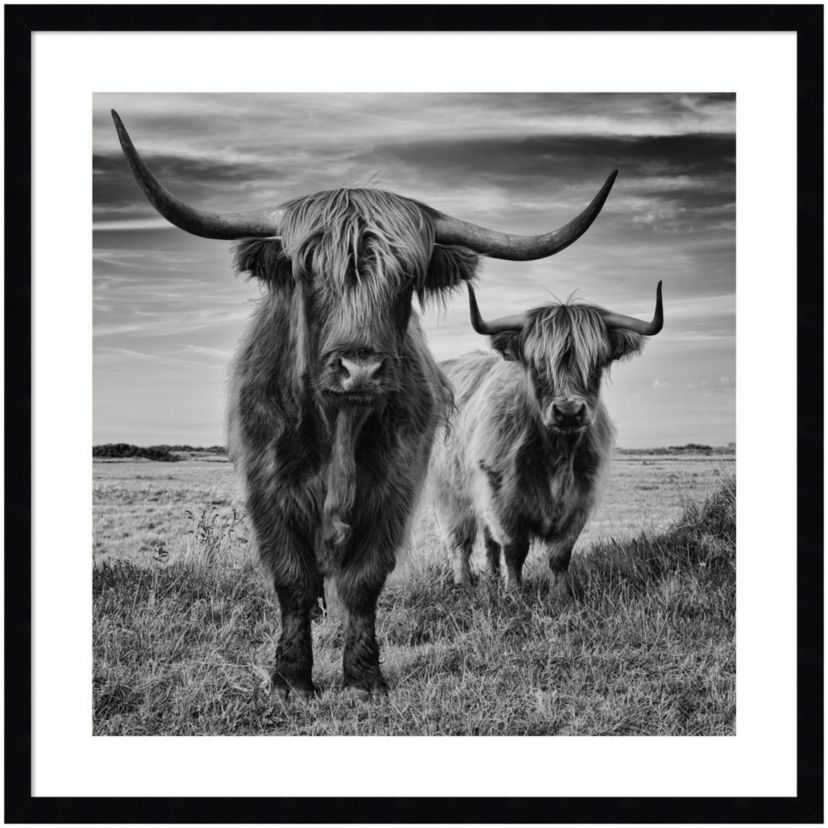 Highland Cow Couple by Stephane Pecqueux Wood Framed Wall Art Print