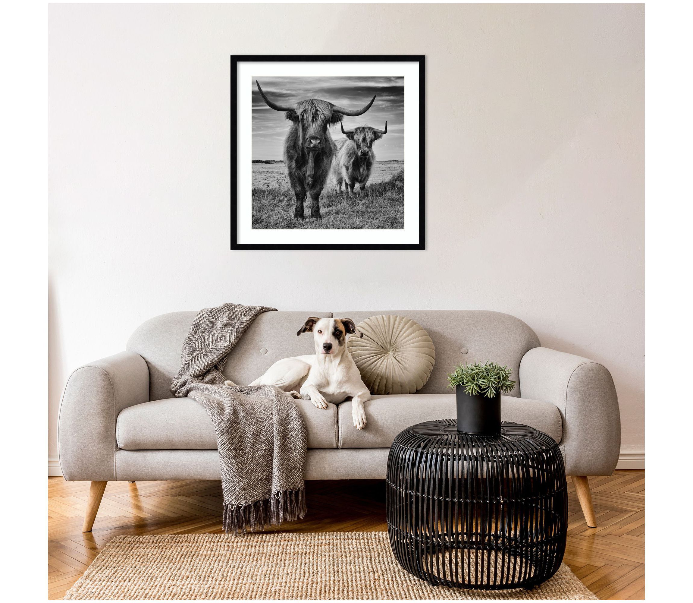 Highland Cow Couple by Stephane Pecqueux Wood Framed Wall Art Print