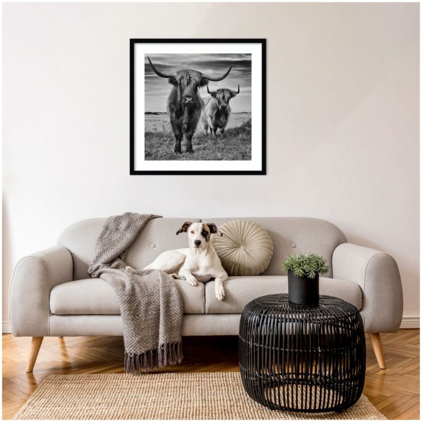Highland Cow Couple by Stephane Pecqueux Wood Framed Wall Art Print