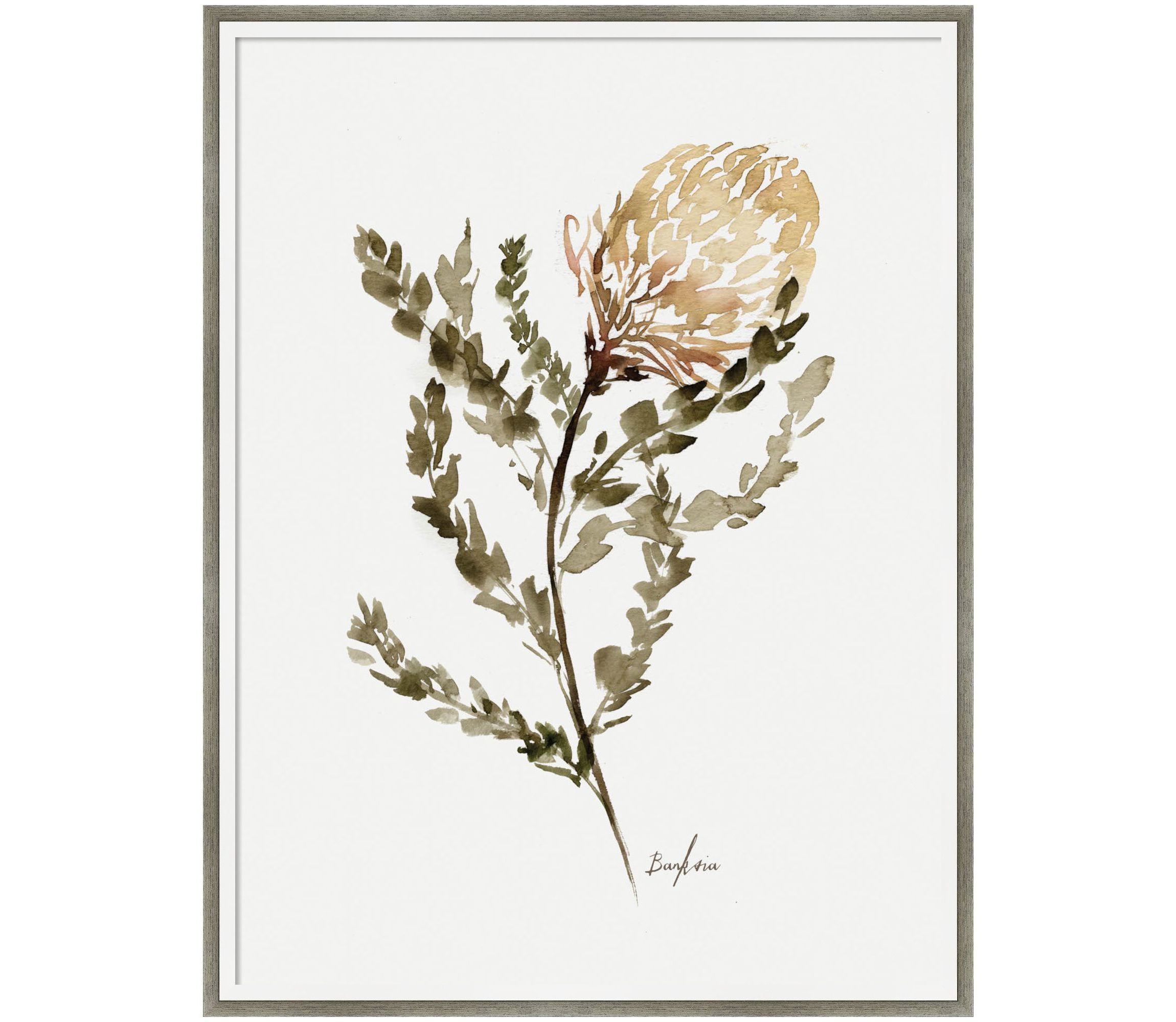 Wild Banksia by Sara Berrenson Wood Framed Wall Art Print