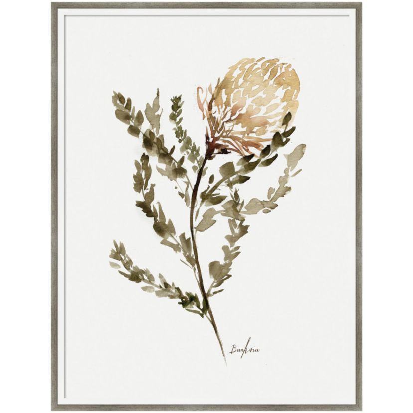 Wild Banksia by Sara Berrenson Wood Framed Wall Art Print