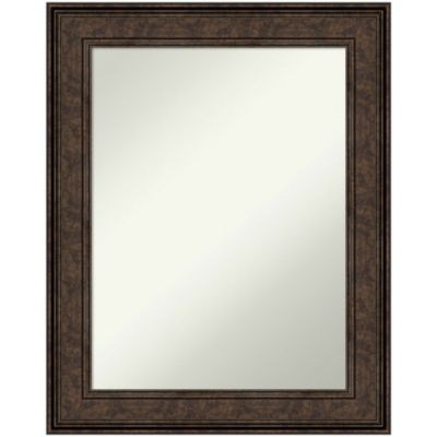 Amanti Art Ridge Bronze Non-Beveled Framed Bathroom Wall Mirror, Large
