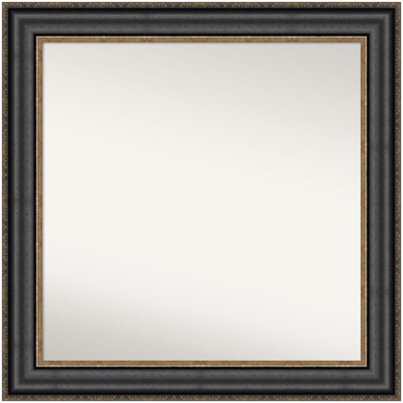 Thomas Black Bronze Non-Beveled Framed Bathroom Wall Mirror