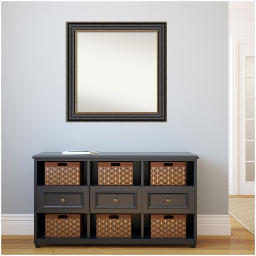Thomas Black Bronze Non-Beveled Framed Bathroom Wall Mirror