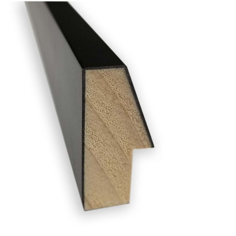 Lucie Black Non-Beveled Wood Framed Bathroom Wall Mirror