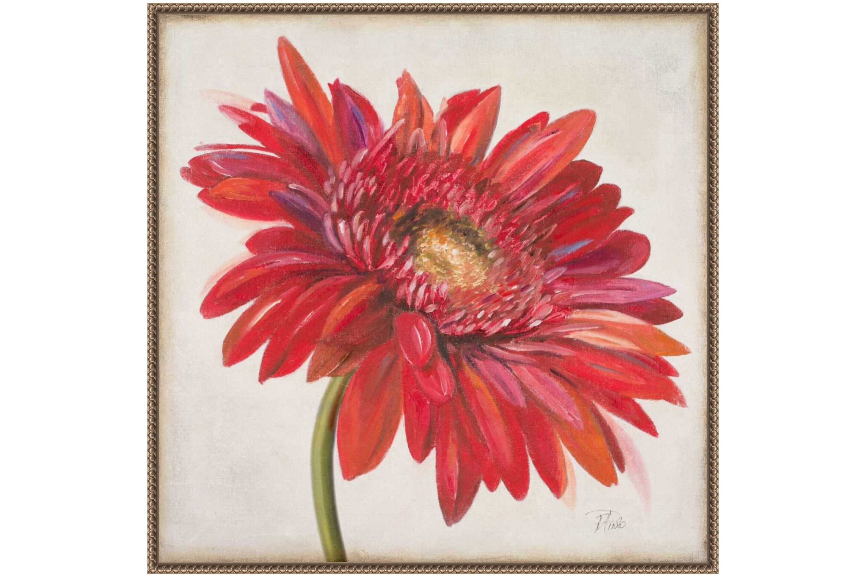 Red Gerber Daisy Framed Canvas Wall Art Print