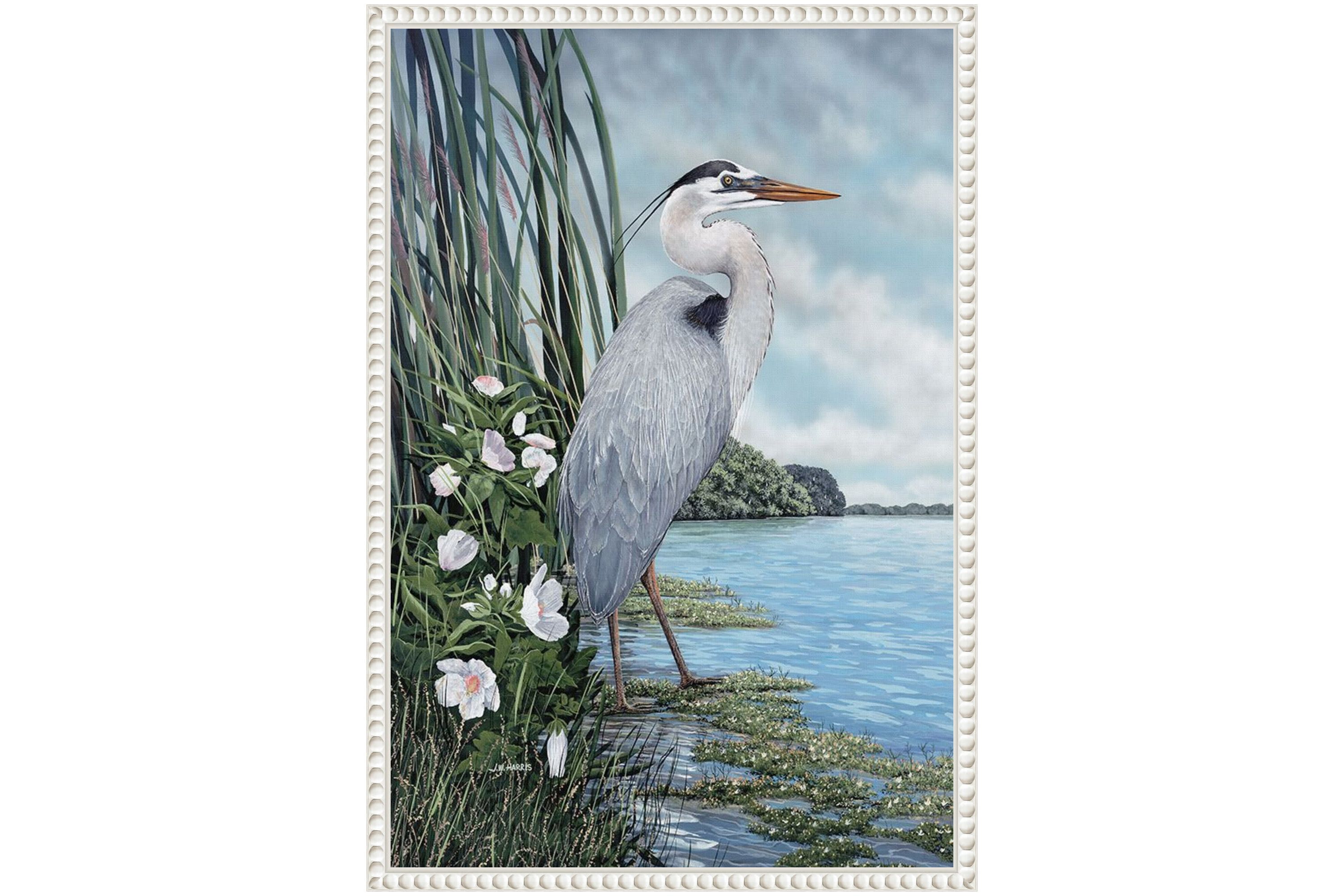 Great Blue Heron Framed Canvas Wall Art Print