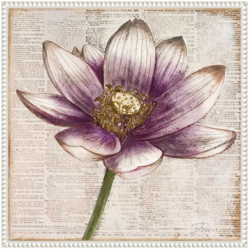 Defined Lotus Flower II Framed Canvas Wall Art Print
