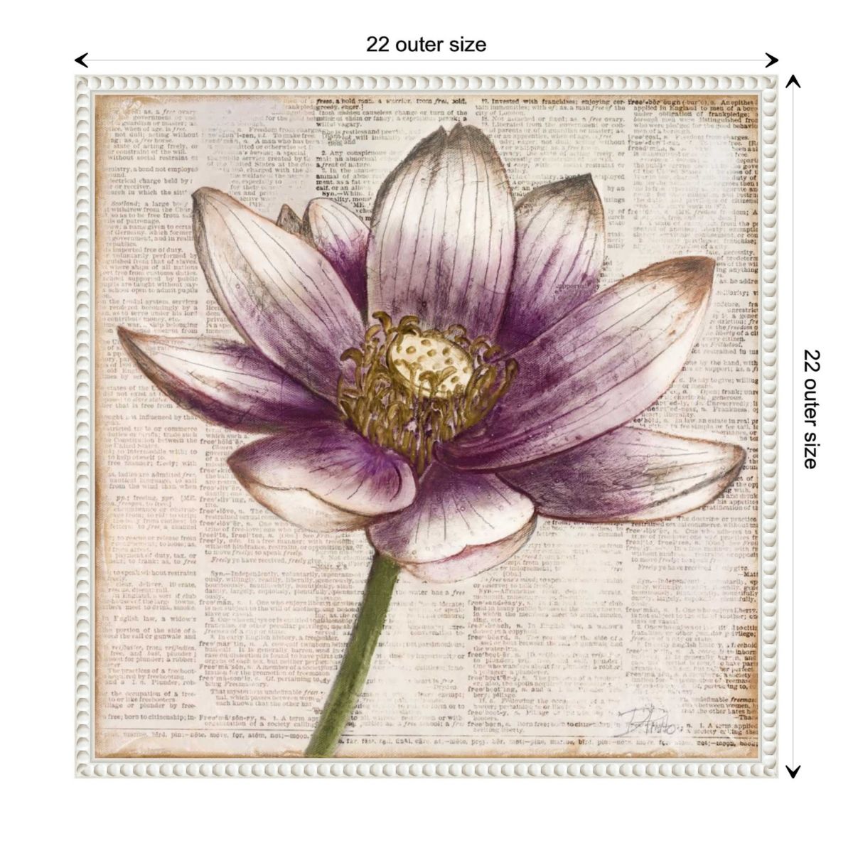 Defined Lotus Flower II Framed Canvas Wall Art Print