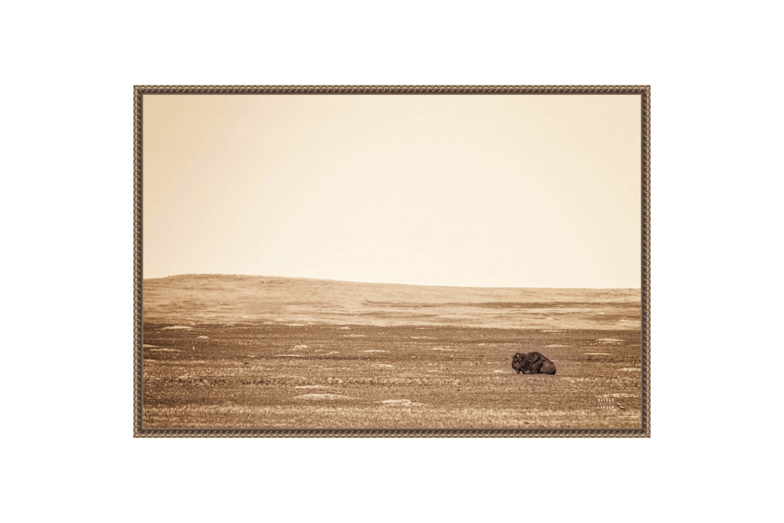 Badlands Bison Sepia Framed Canvas Wall Art Print