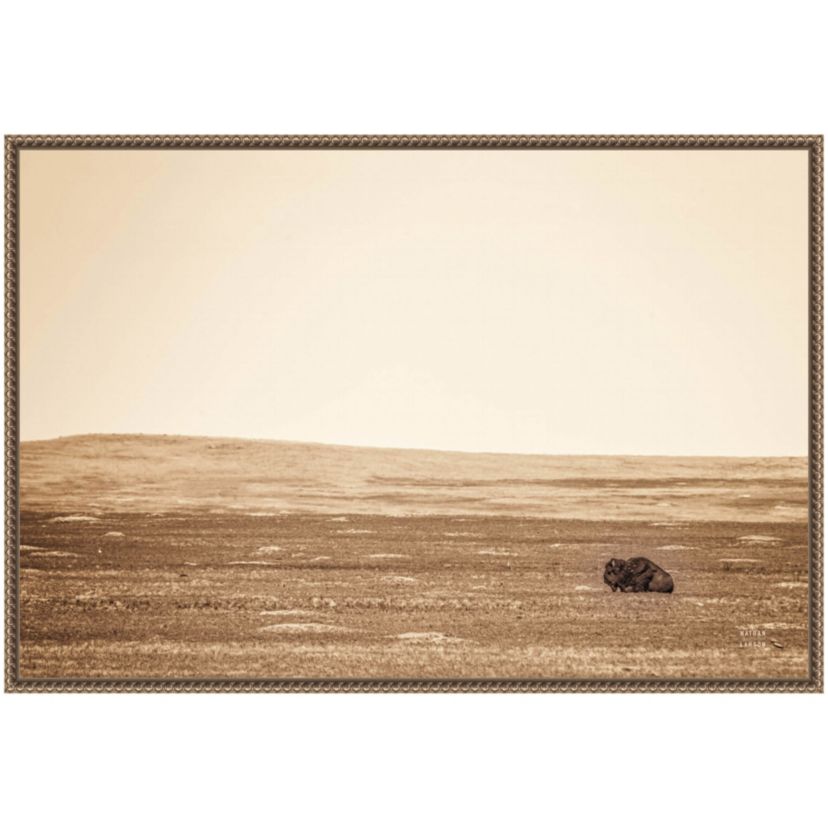 Badlands Bison Sepia Framed Canvas Wall Art Print