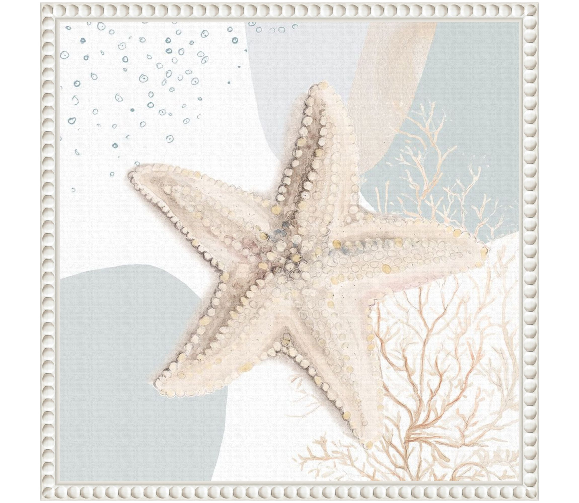 Ocean Oasis Bubbles Starfish Framed Canvas Wall Art Print