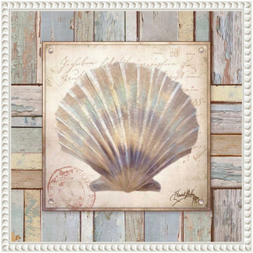 Beach Shell I Framed Canvas Wall Art Print