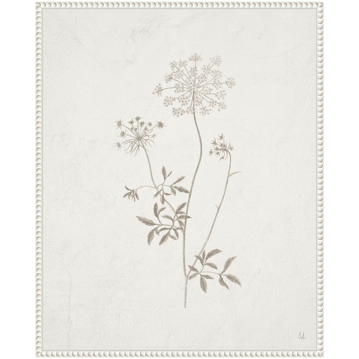Plants from the Meadow III Framed Canvas Wall Art Print