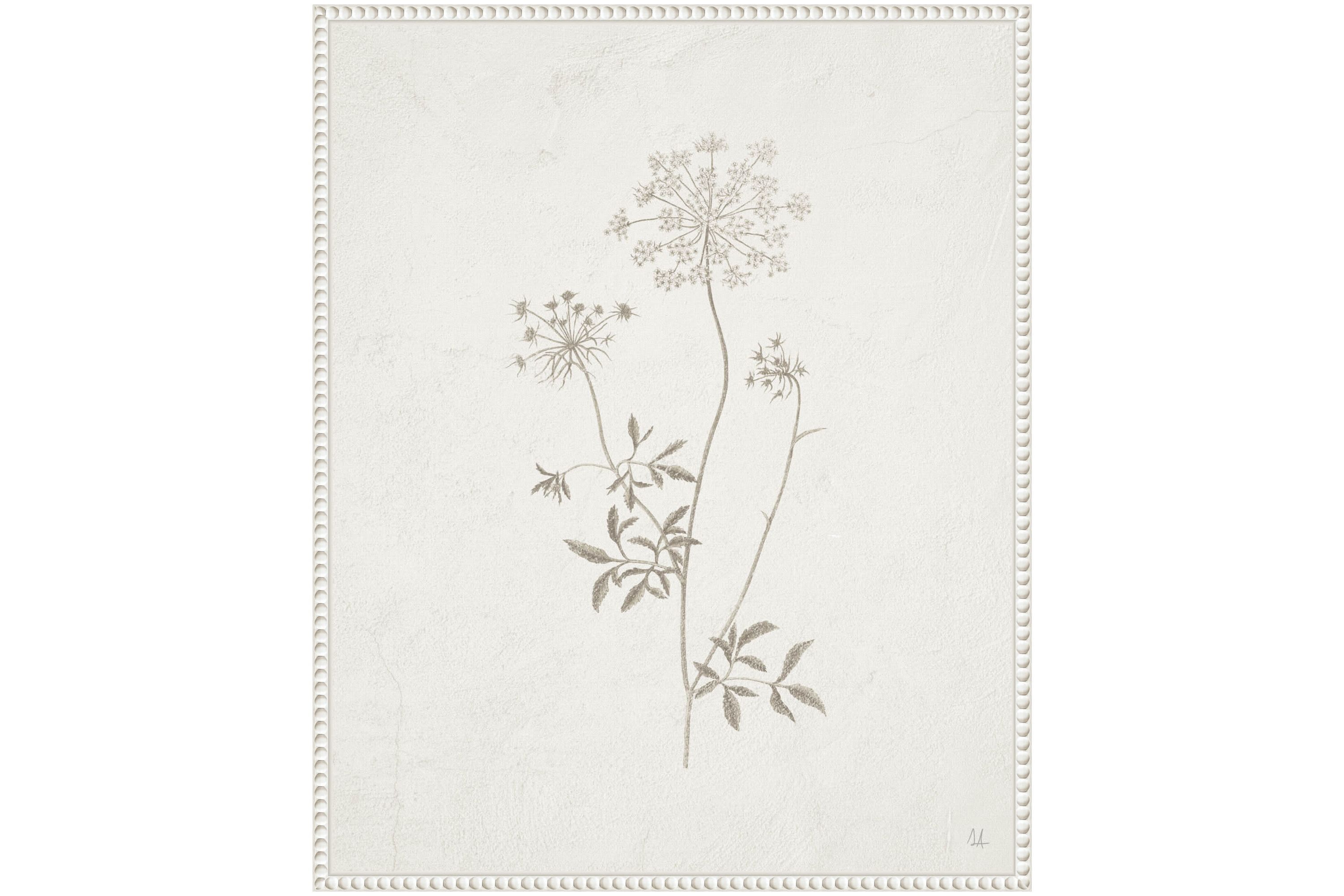 Plants from the Meadow III Framed Canvas Wall Art Print