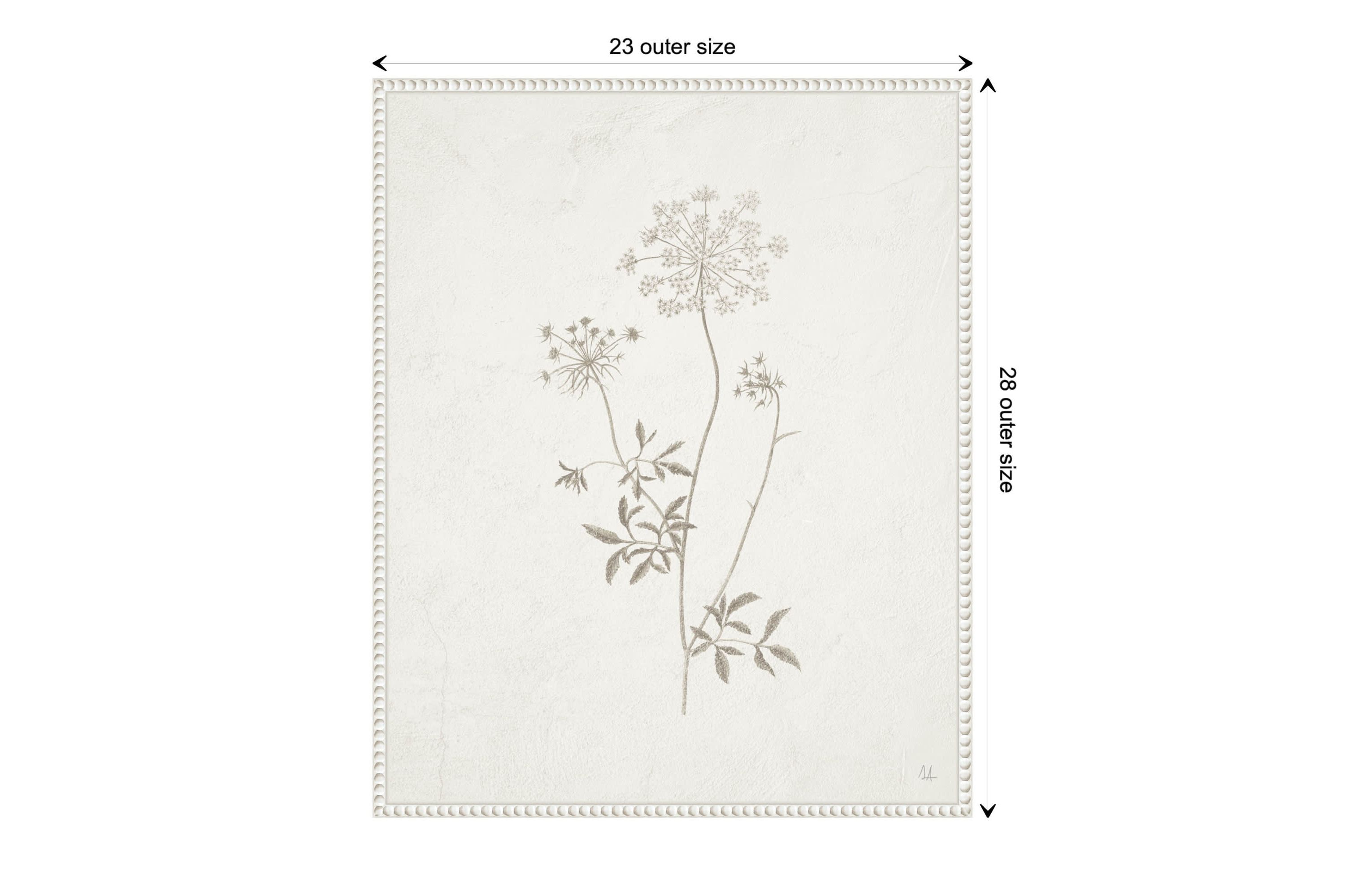 Plants from the Meadow III Framed Canvas Wall Art Print