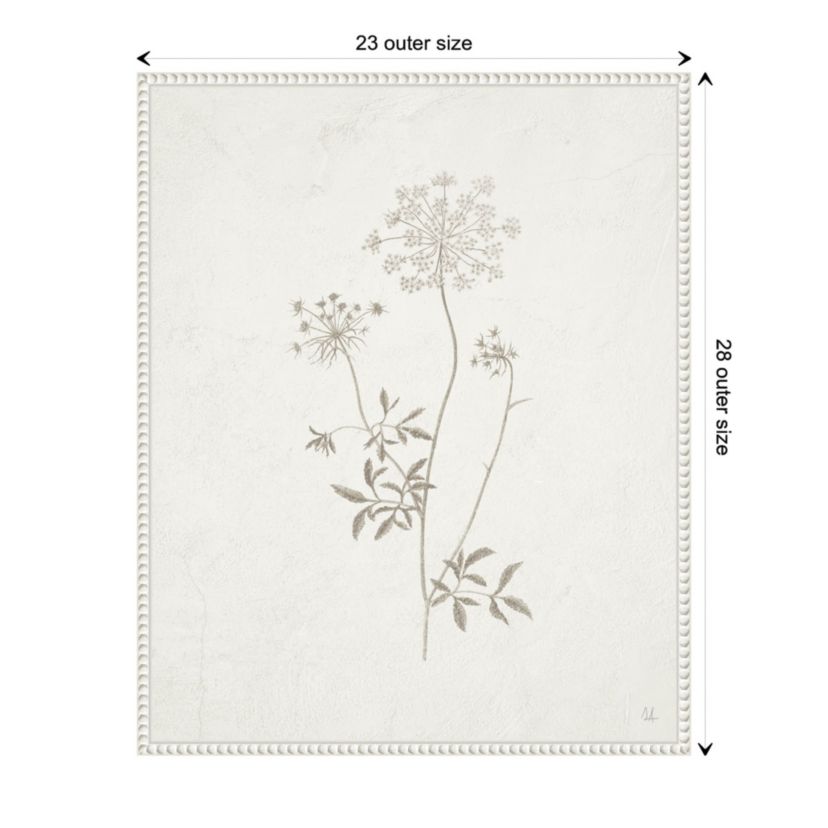 Plants from the Meadow III Framed Canvas Wall Art Print
