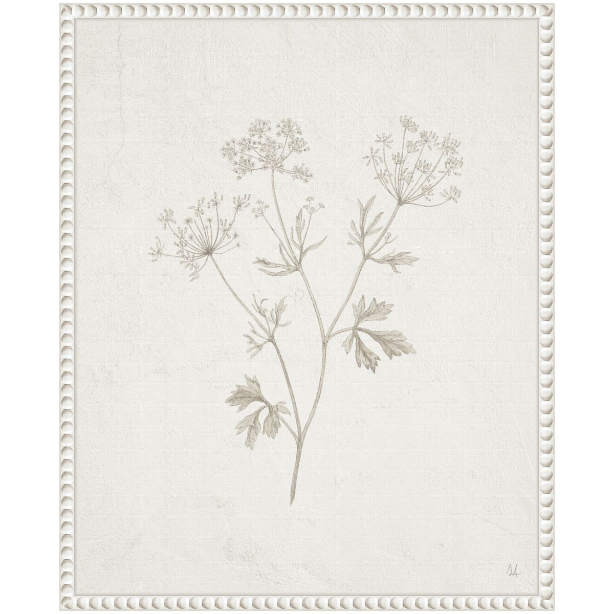 Plants from the Meadow IV Framed Canvas Wall Art Print