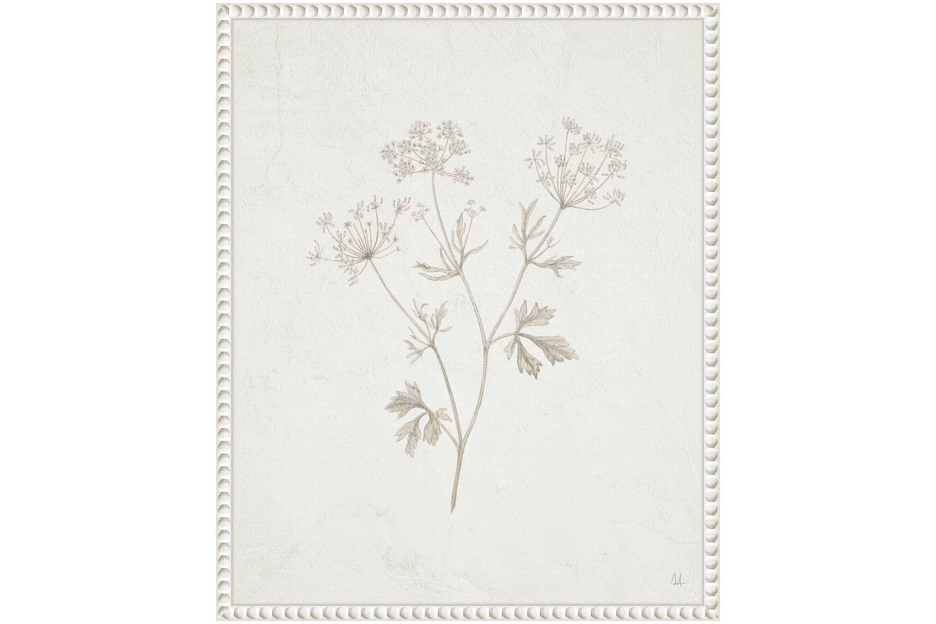 Plants from the Meadow IV Framed Canvas Wall Art Print