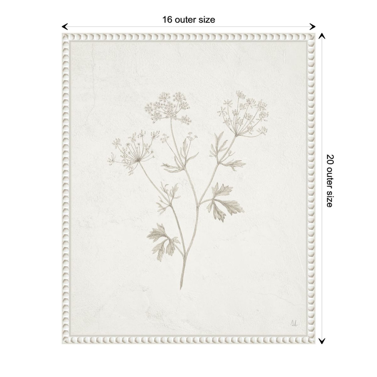 Plants from the Meadow IV Framed Canvas Wall Art Print