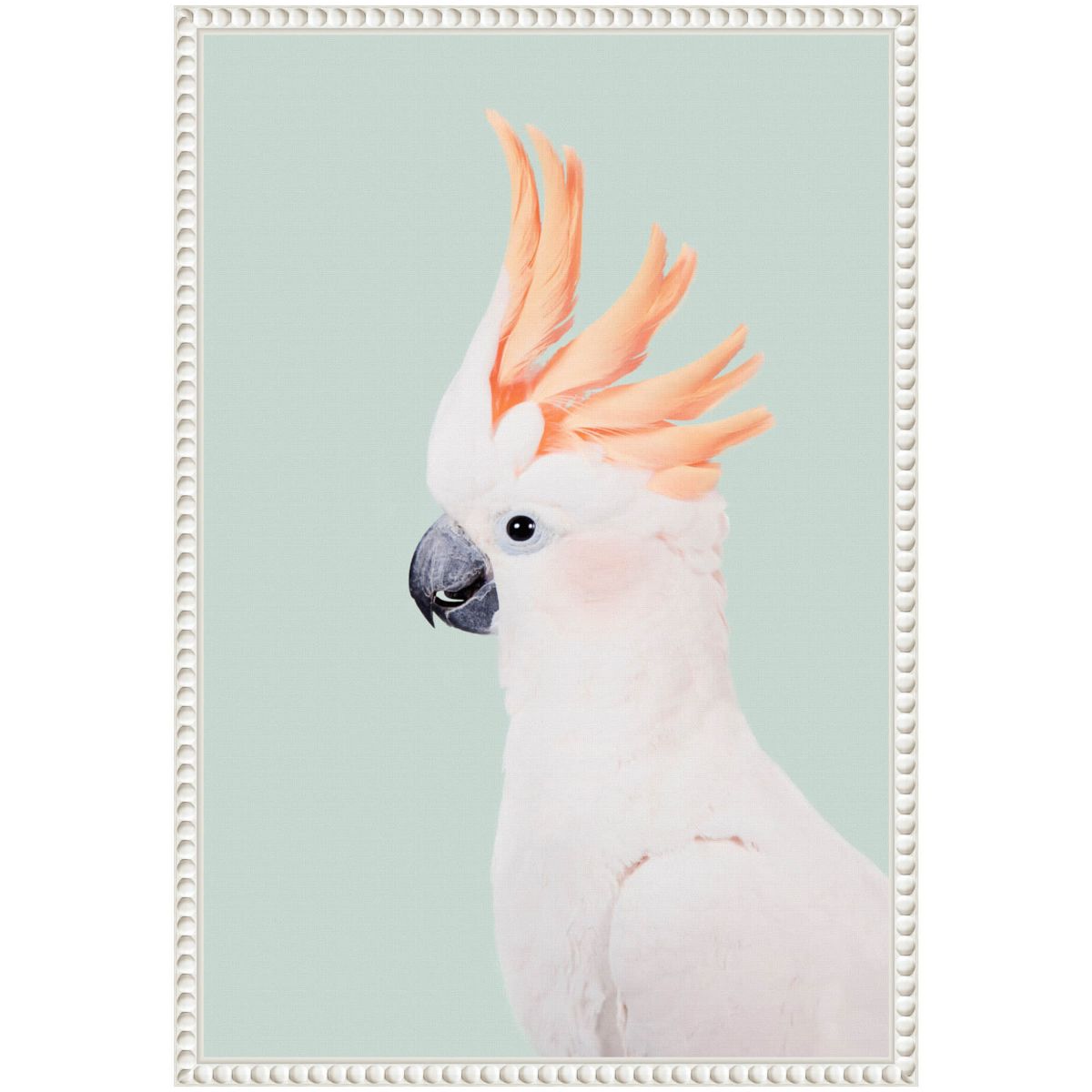 Cockatoo Framed Canvas Wall Art Print