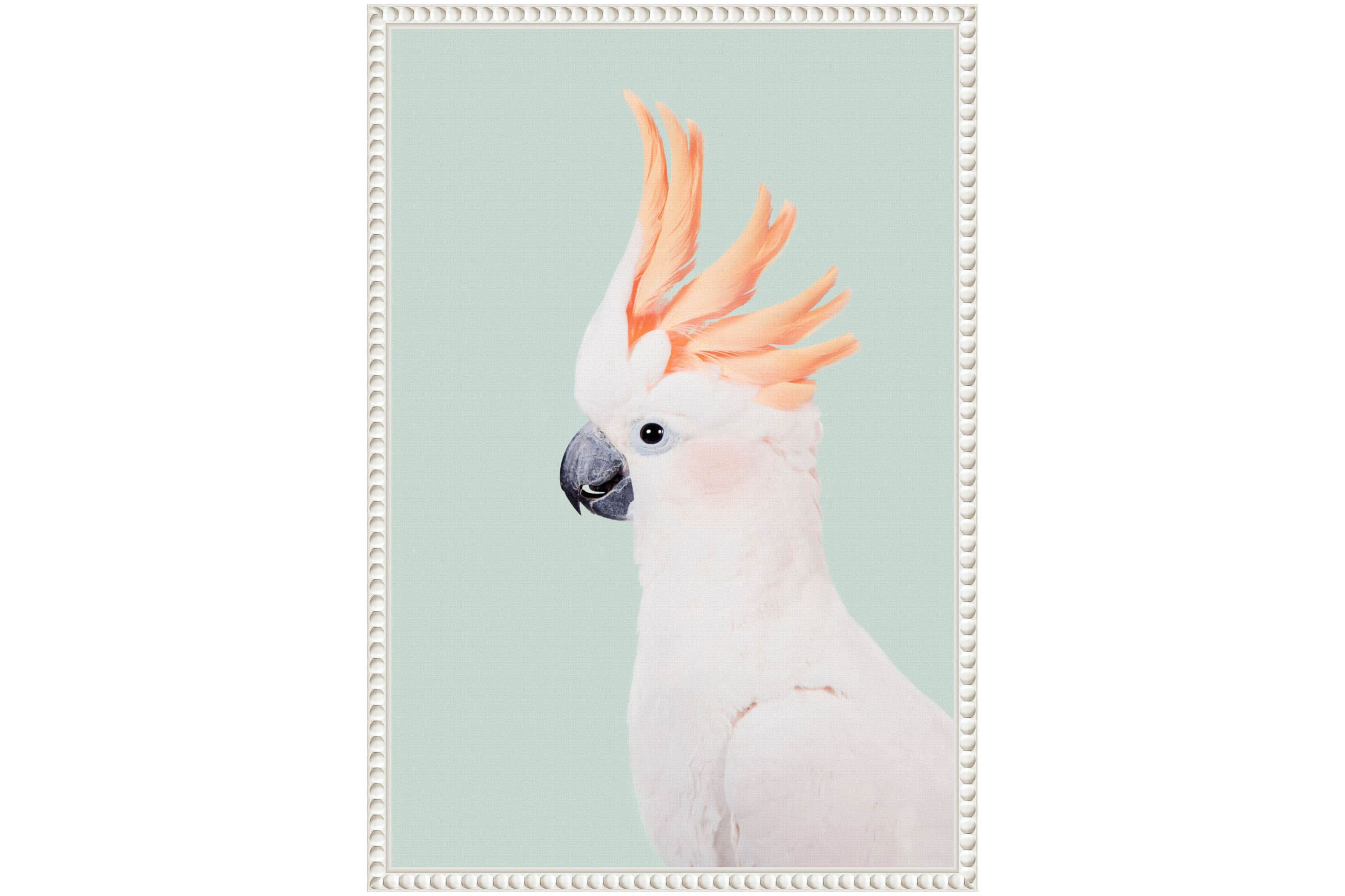 Cockatoo Framed Canvas Wall Art Print