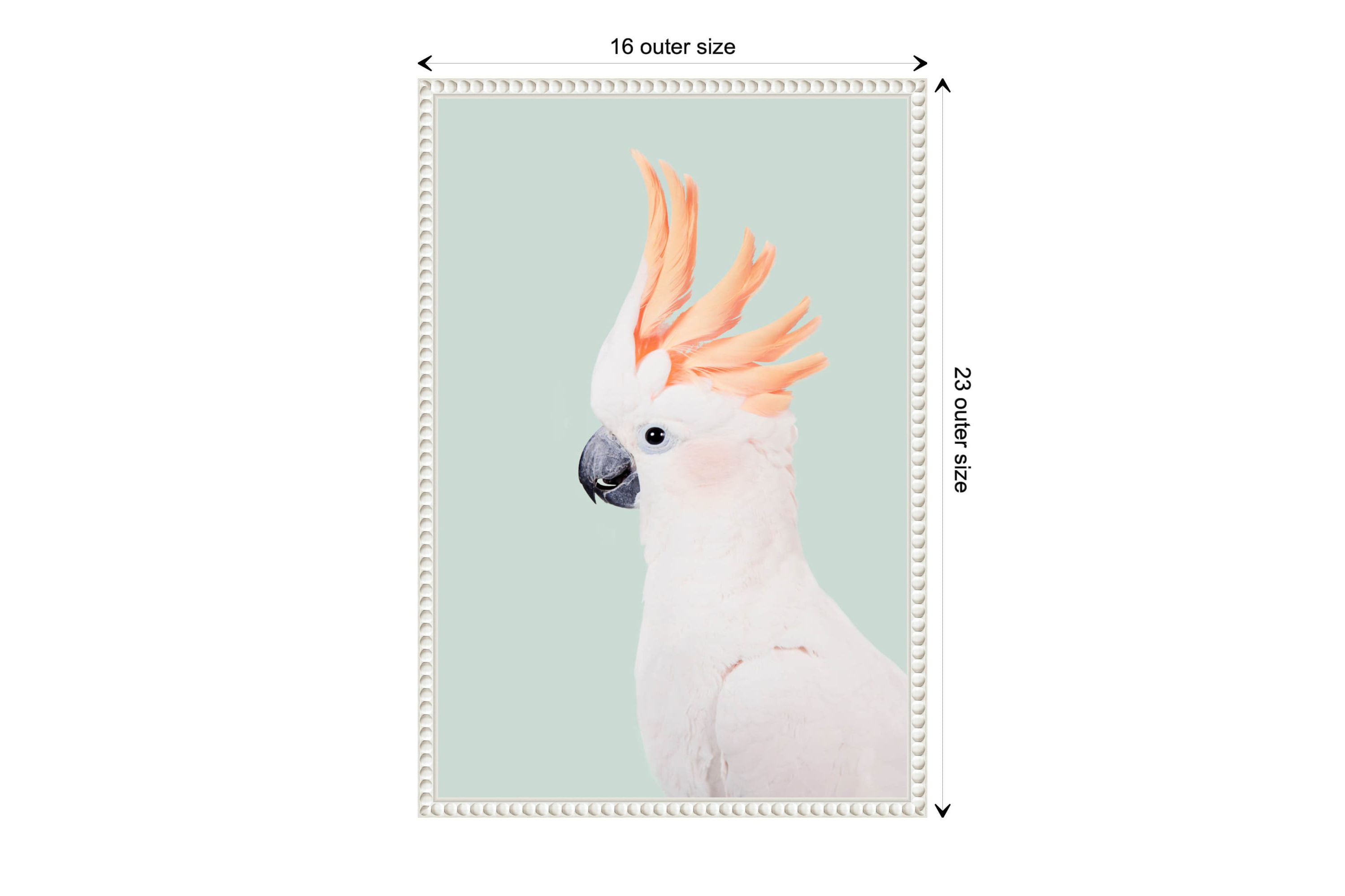 Cockatoo Framed Canvas Wall Art Print