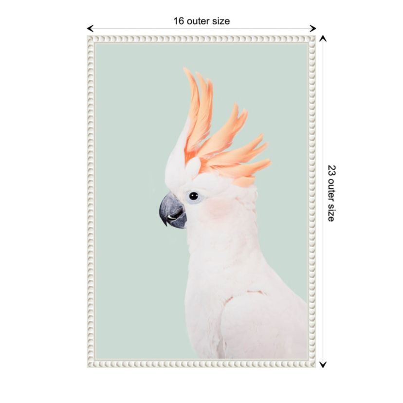 Cockatoo Framed Canvas Wall Art Print