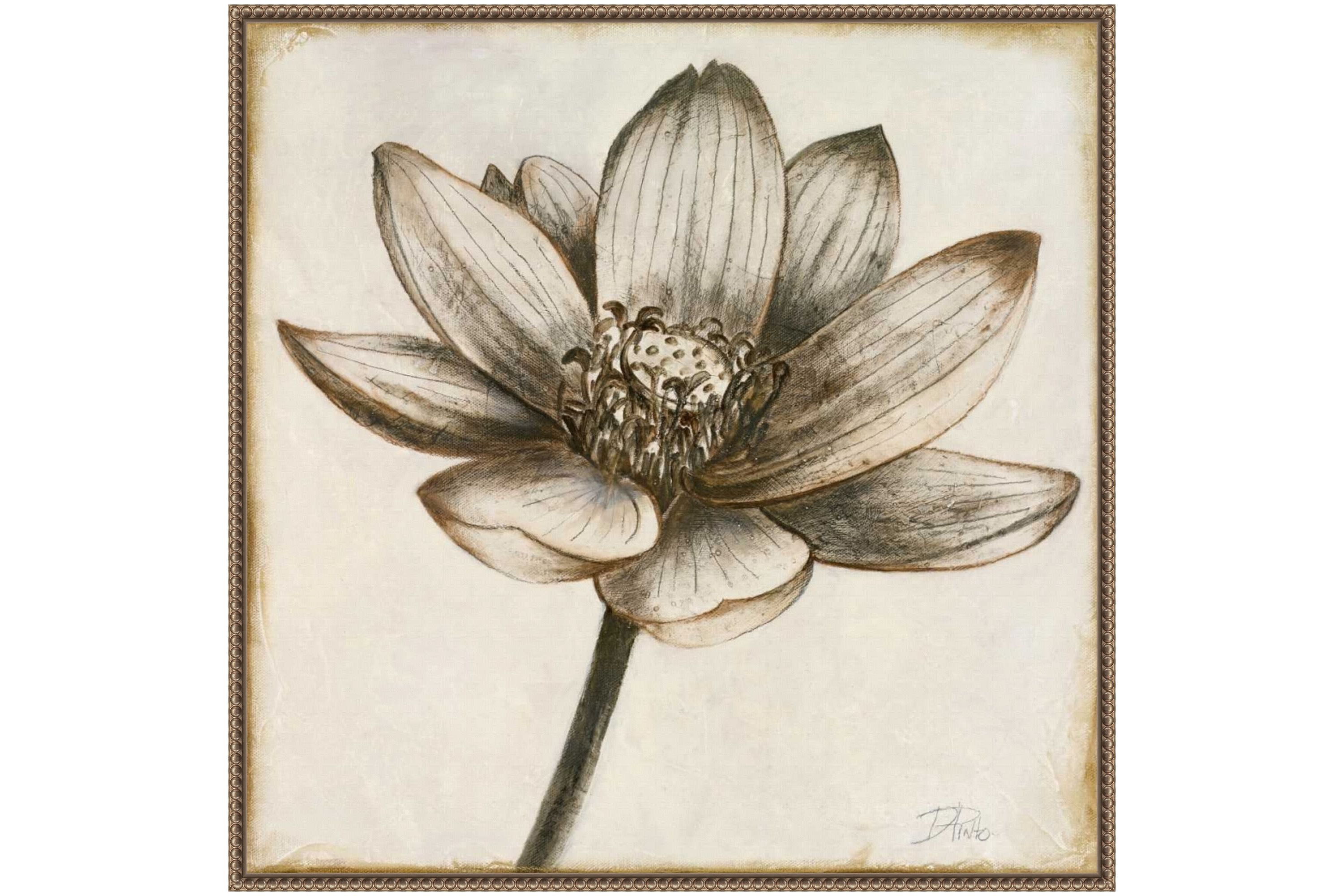 Sepia Lotus Blossom II Framed Canvas Wall Art Print