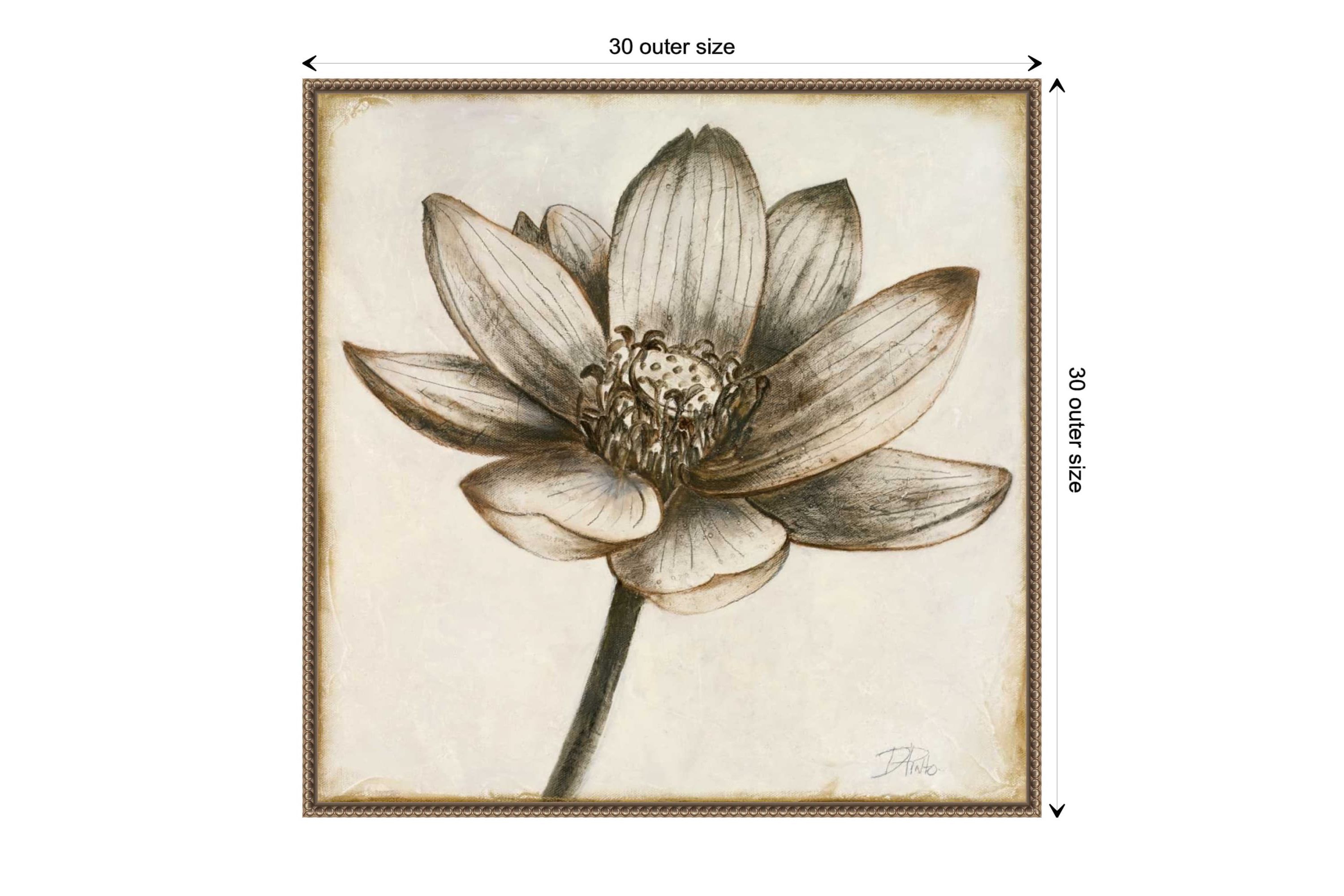 Sepia Lotus Blossom II Framed Canvas Wall Art Print
