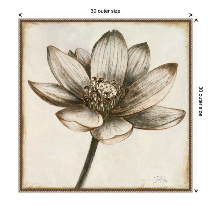 Sepia Lotus Blossom II Framed Canvas Wall Art Print