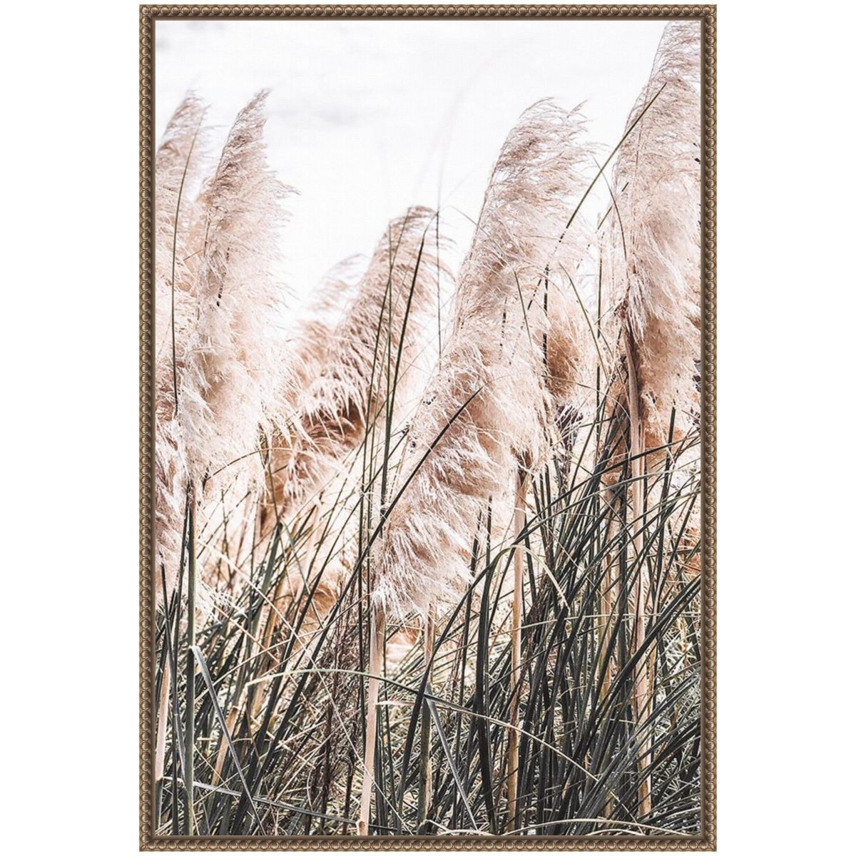 Pampas Grass Framed Canvas Wall Art Print
