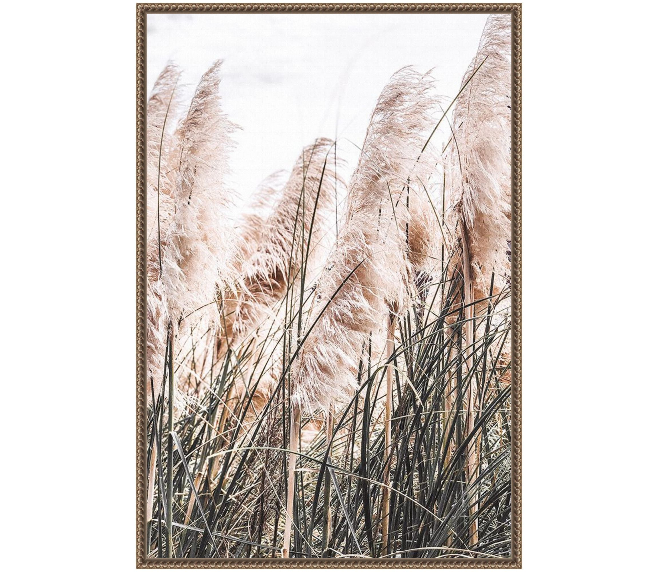 Pampas Grass Framed Canvas Wall Art Print