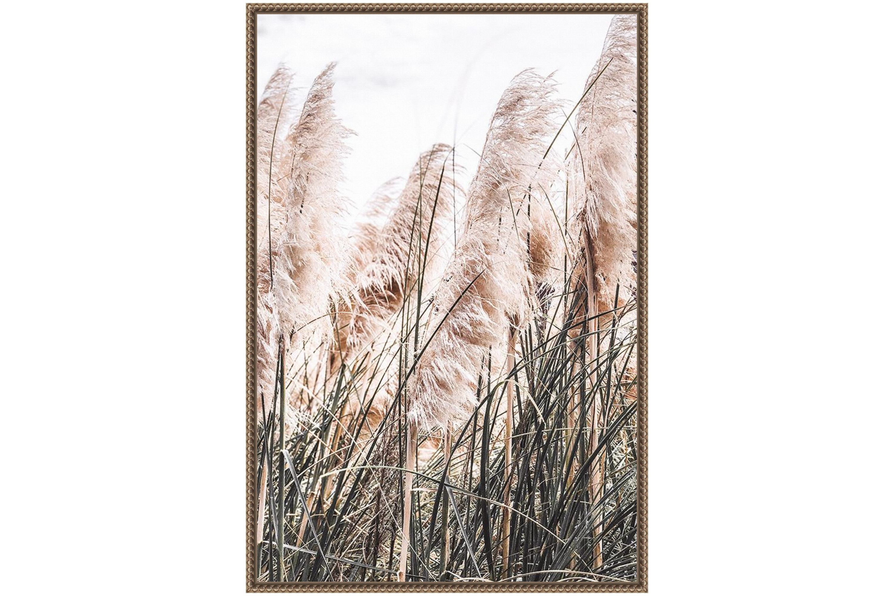 Pampas Grass Framed Canvas Wall Art Print