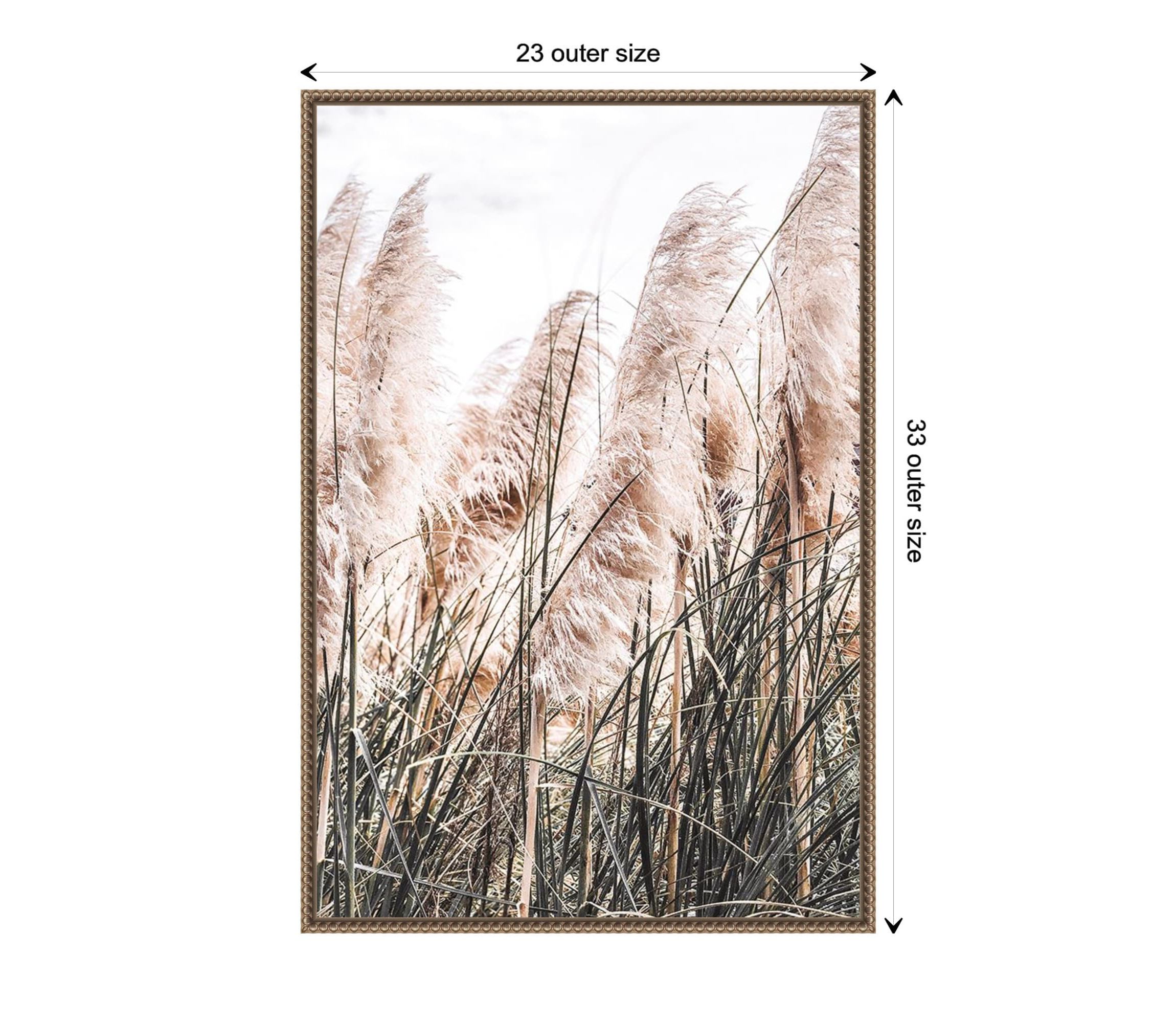 Pampas Grass Framed Canvas Wall Art Print