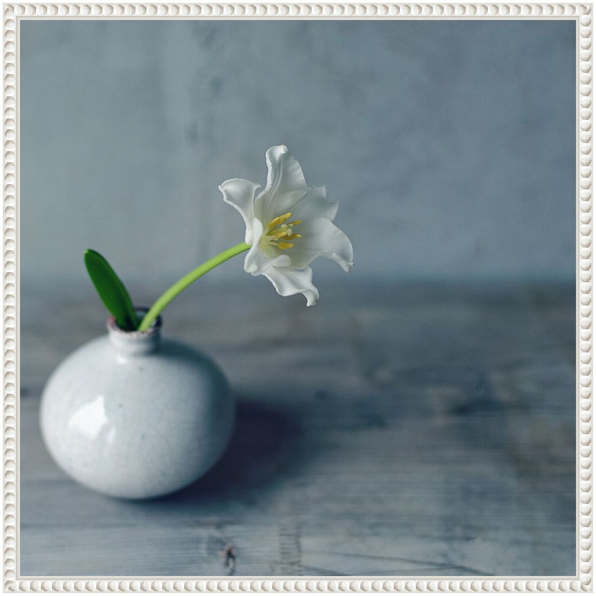 Single Bloom in Vase Framed Canvas Wall Art Print