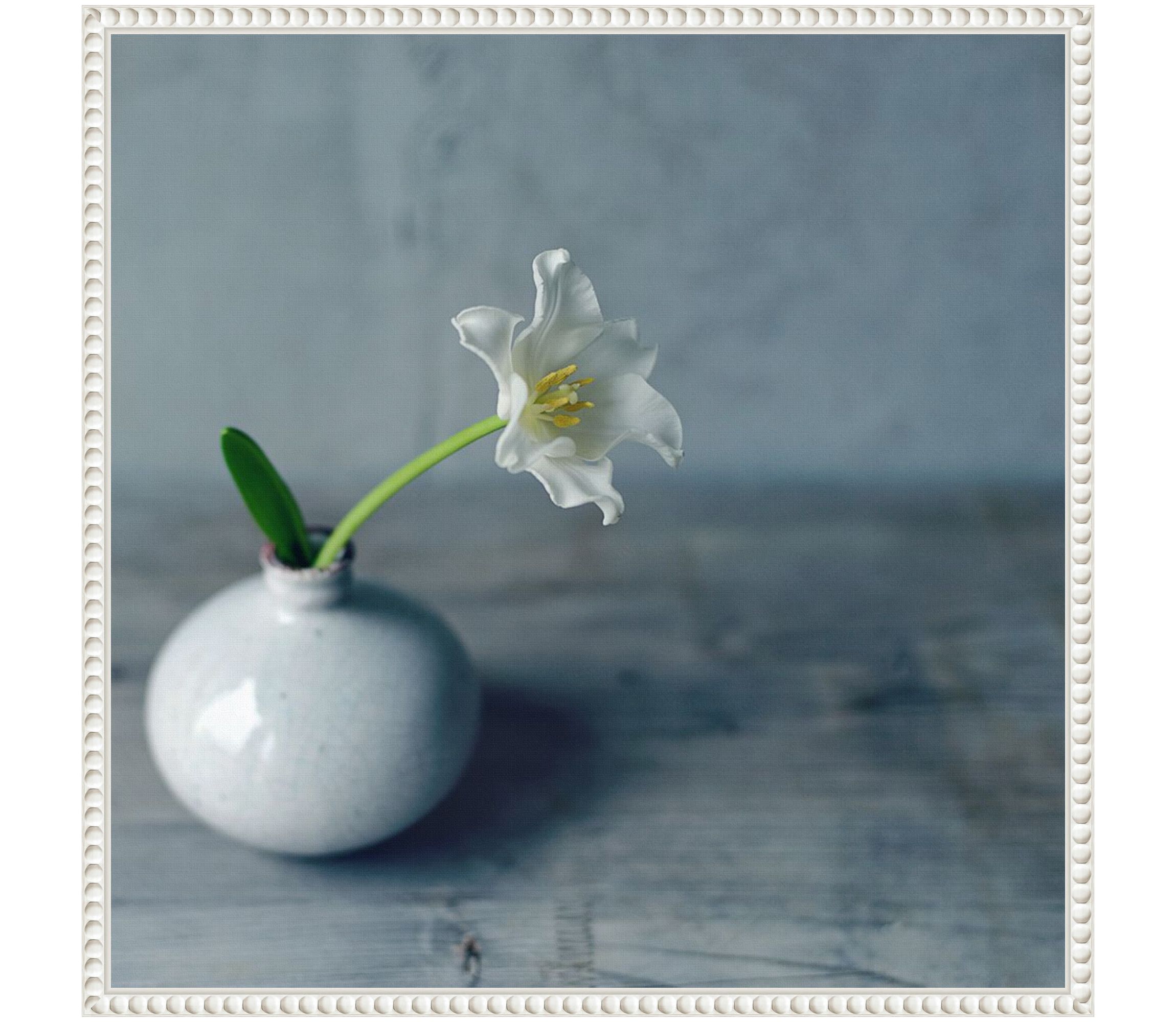 Single Bloom in Vase Framed Canvas Wall Art Print