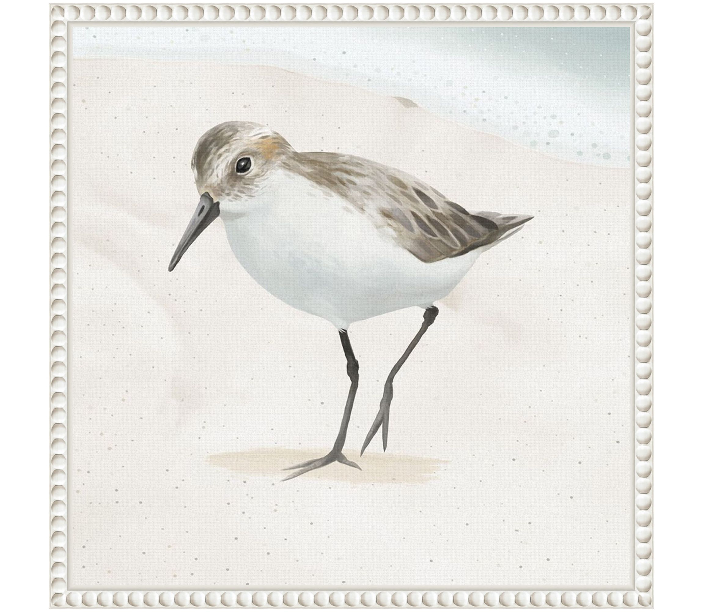 Sandpiper on the Beach II Framed Canvas Wall Art Print