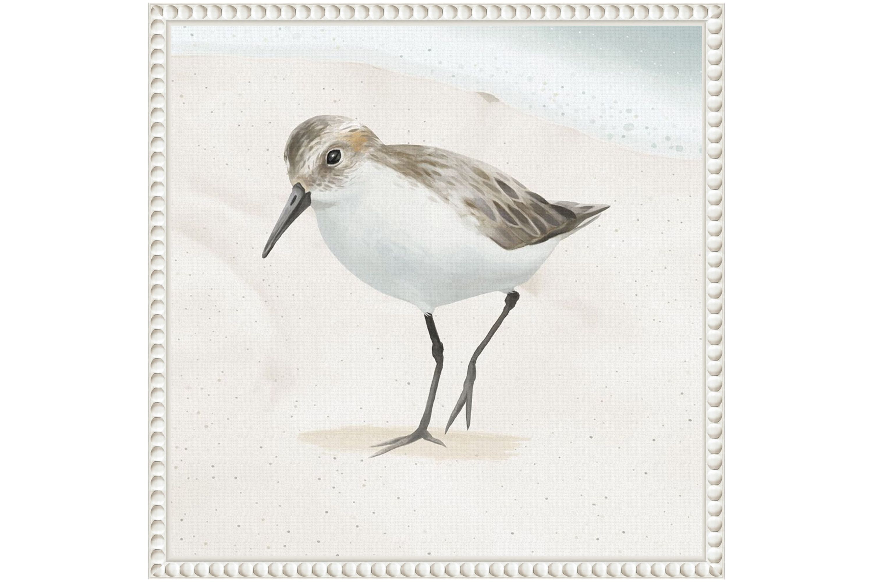 Sandpiper on the Beach II Framed Canvas Wall Art Print