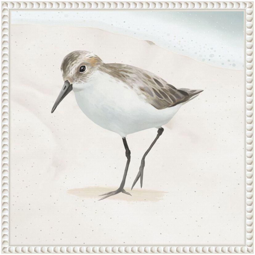 Sandpiper on the Beach II Framed Canvas Wall Art Print