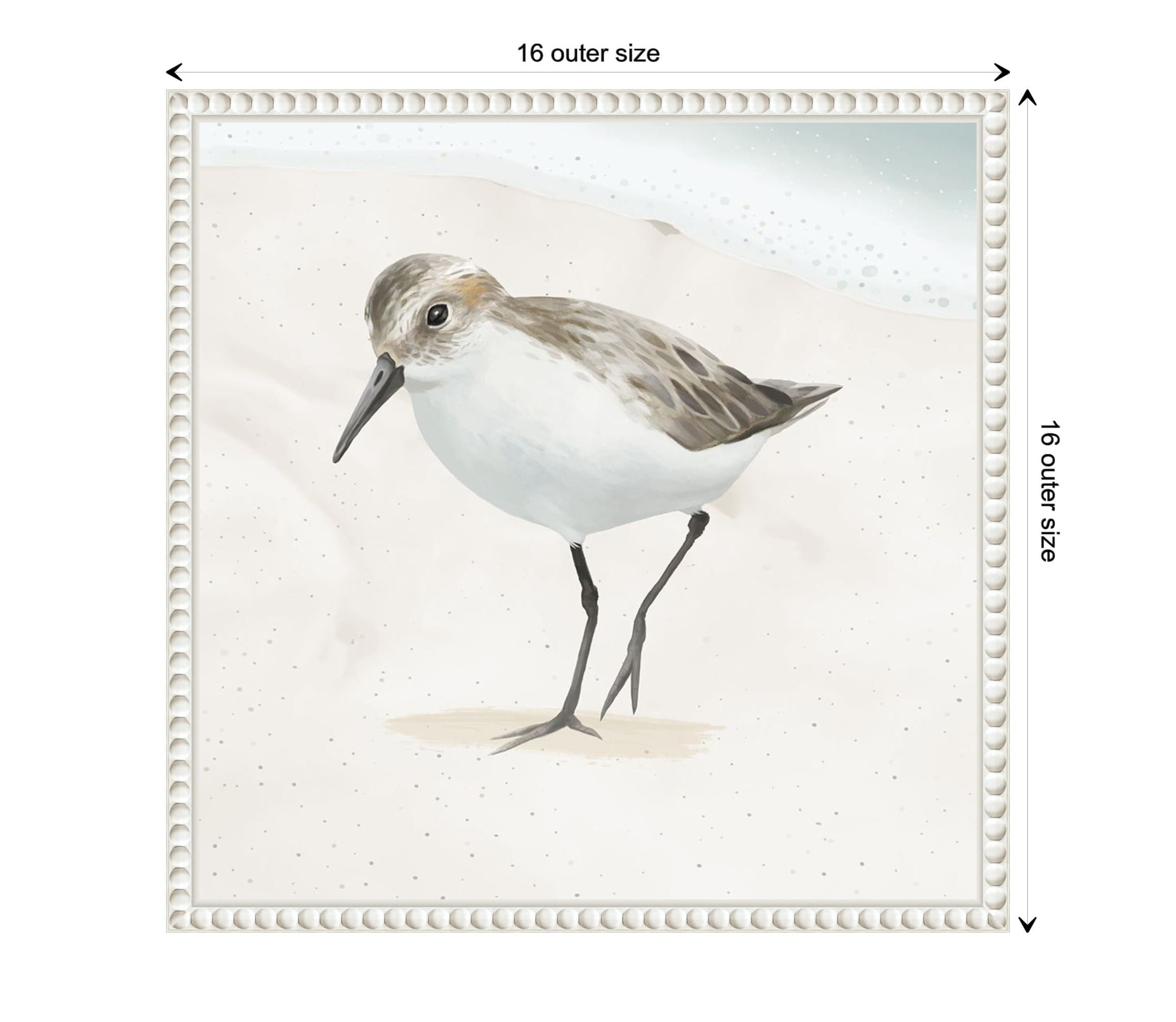 Sandpiper on the Beach II Framed Canvas Wall Art Print