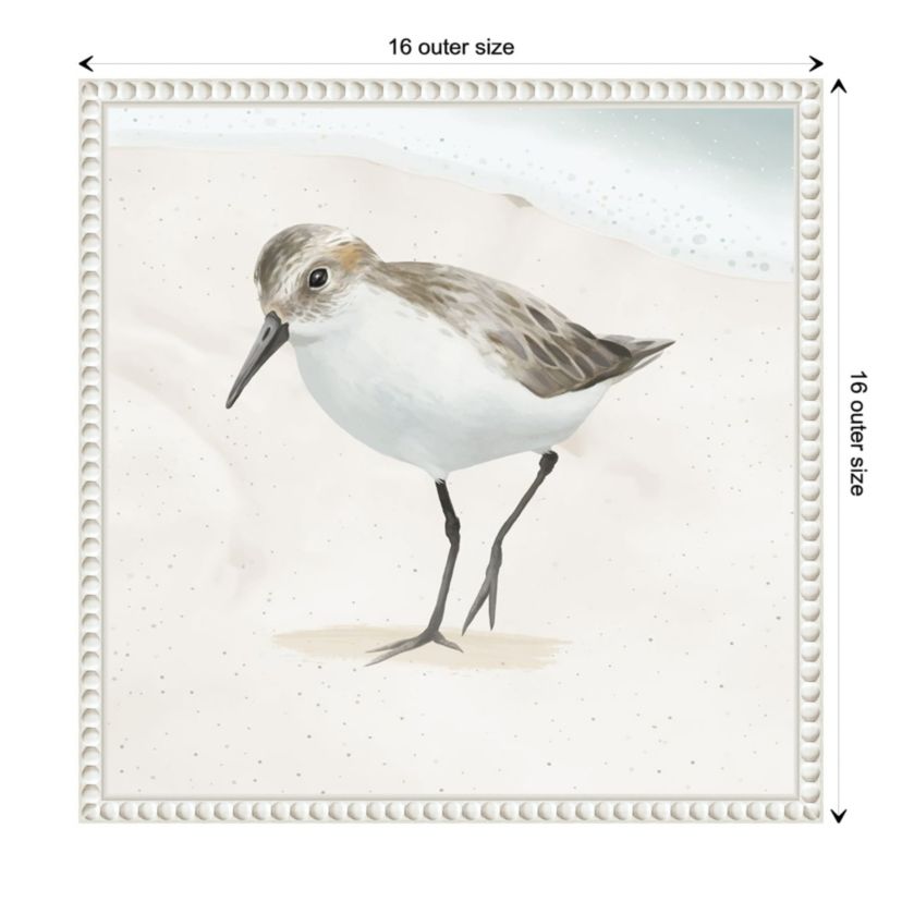 Sandpiper on the Beach II Framed Canvas Wall Art Print