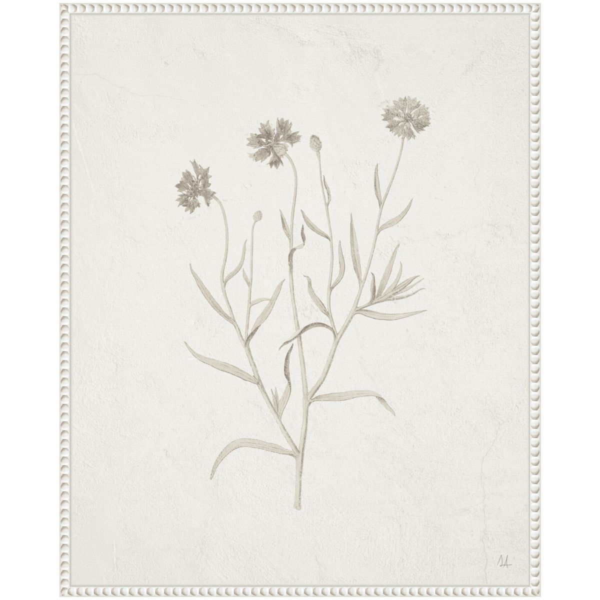 Plants from the Meadow V Framed Canvas Wall Art Print