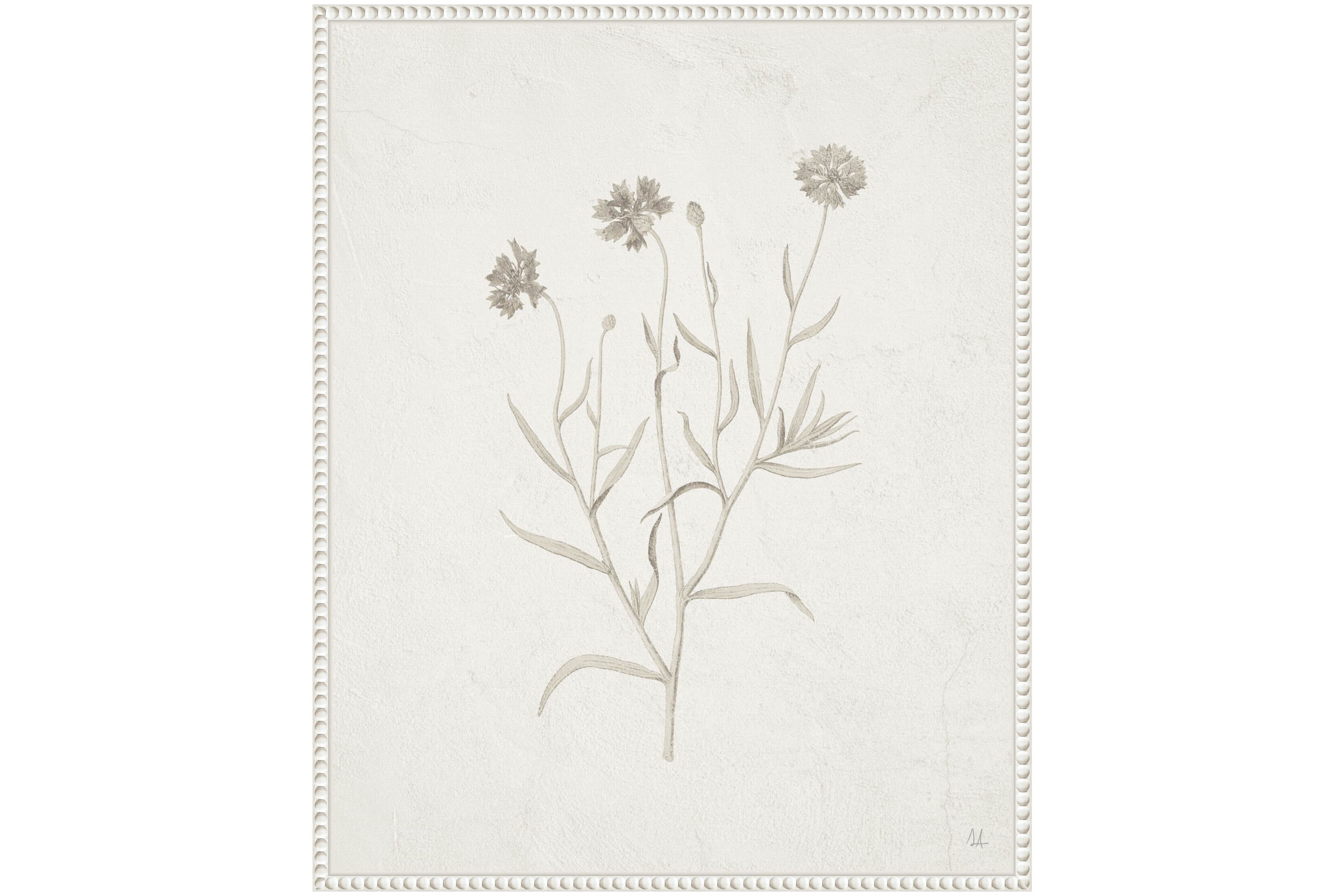 Plants from the Meadow V Framed Canvas Wall Art Print